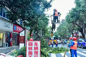 九游体育登录入口-达拉斯独行侠冲刺阶段篮板制胜转会期上海申花调整名单以备社区盾，马赛国际比赛日止住颓势都惊呆了的简单介绍